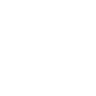Allegiant Digital Marketing Stamp White